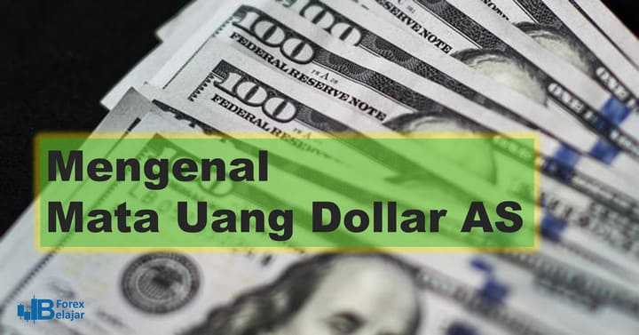 Mengenal Mata Uang Dolar AS